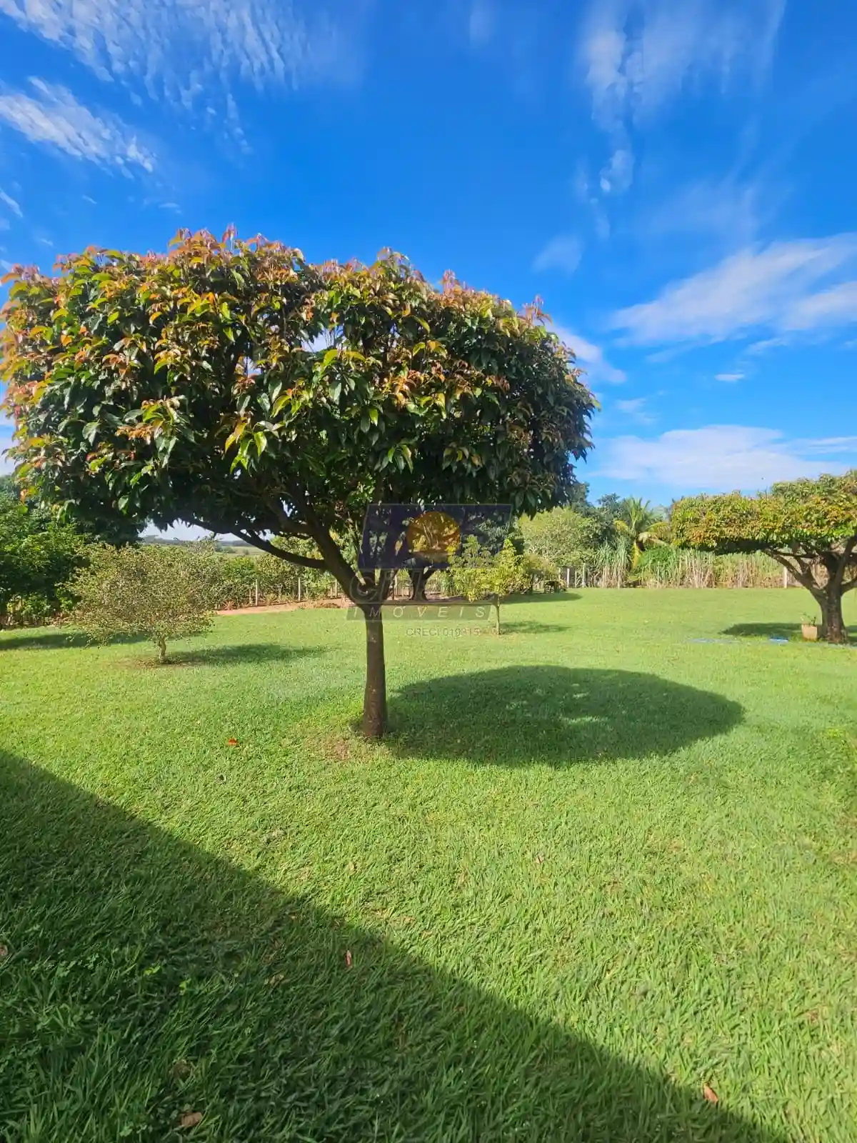 Fazenda / Sítio / Chácara com 3 quartos à venda, 5030m² — foto 20 de 22