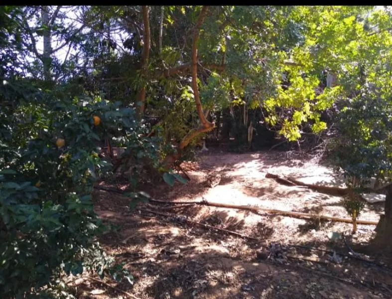Fazenda / Sítio / Chácara à venda — foto 3 de 5