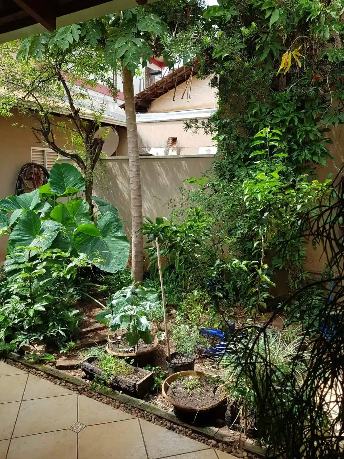 Casa com 3 quartos à venda, 444m² — foto 10 de 21