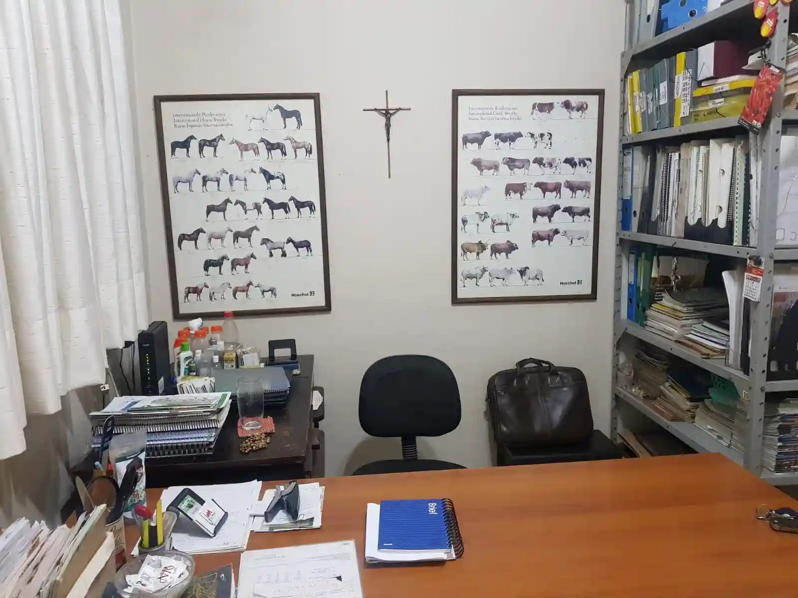 Casa com 3 quartos à venda, 444m² — foto 2 de 21