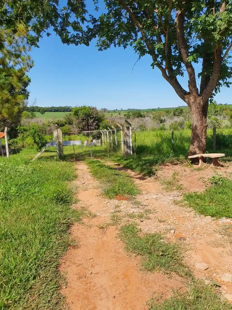 Fazenda / Sítio / Chácara com 3 quartos à venda, 30000m² — foto 8 de 22