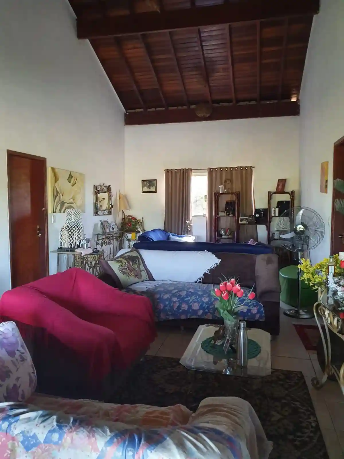 Fazenda / Sítio / Chácara com 3 quartos à venda, 30000m² — foto 16 de 22