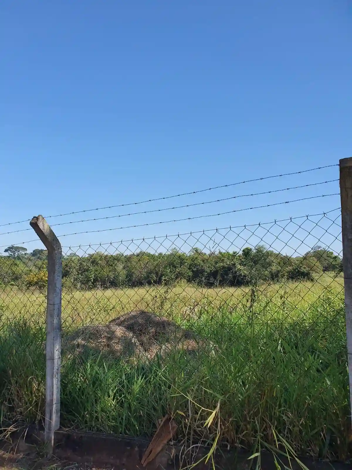 Fazenda / Sítio / Chácara com 3 quartos à venda, 30000m² — foto 22 de 22