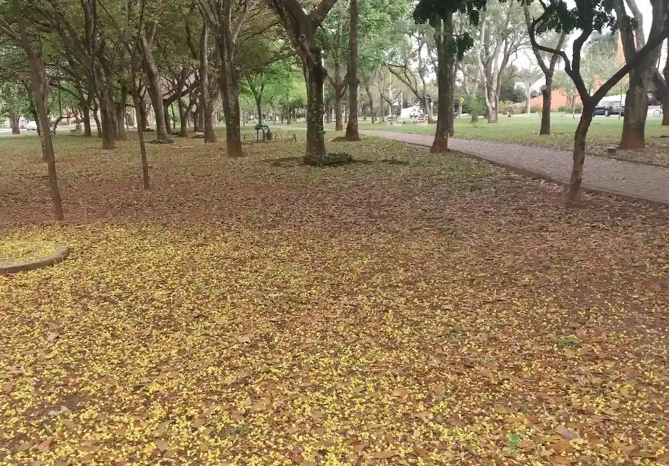 Terreno / Lote / Condomínio  à venda, 1120m² — foto 1 de 5