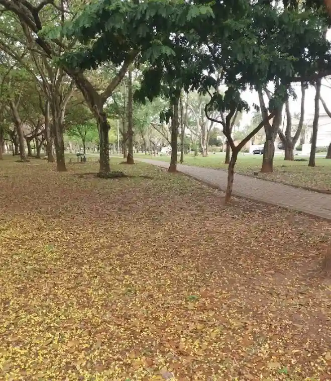 Terreno / Lote / Condomínio  à venda, 1120m² — foto 3 de 5