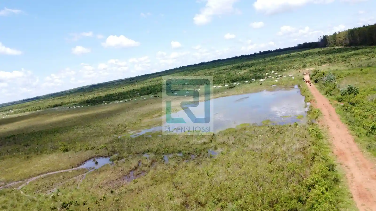 Fazenda / Sítio / Chácara  à venda, 13500000m² — foto 5 de 12