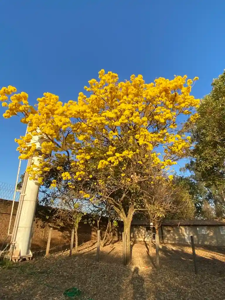 Casa de Condomínio com 3 quartos à venda, 5000m² — foto 5 de 11