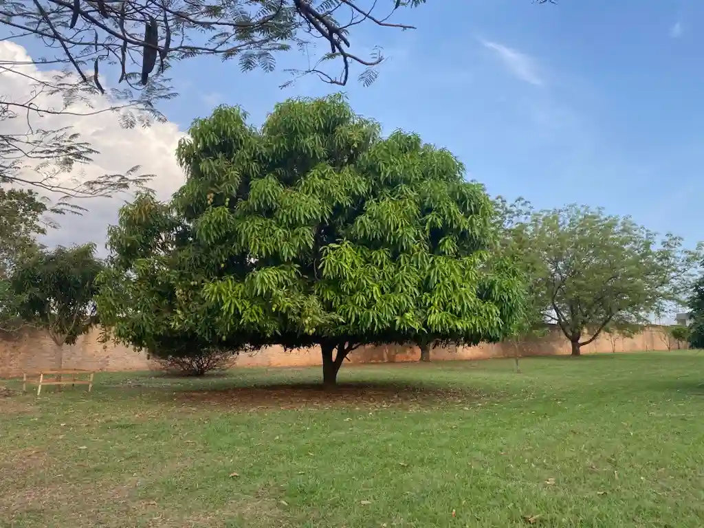 Casa de Condomínio com 3 quartos à venda, 5000m² — foto 9 de 11