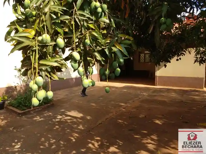 Fazenda / Sítio / Chácara com 4 quartos à venda, 1000m² — foto 6 de 45