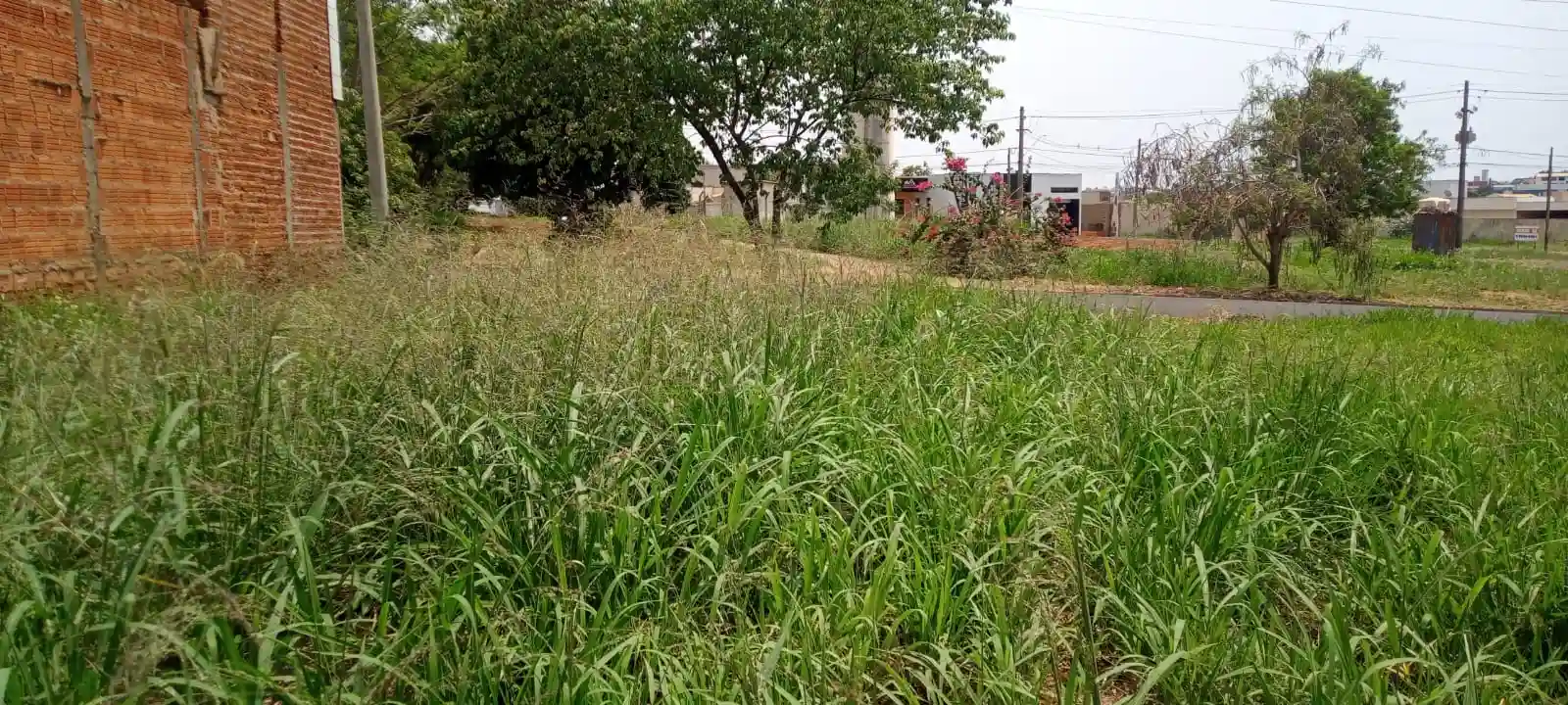 Terreno / Lote / Condomínio  à venda, 220m² — foto 1 de 3