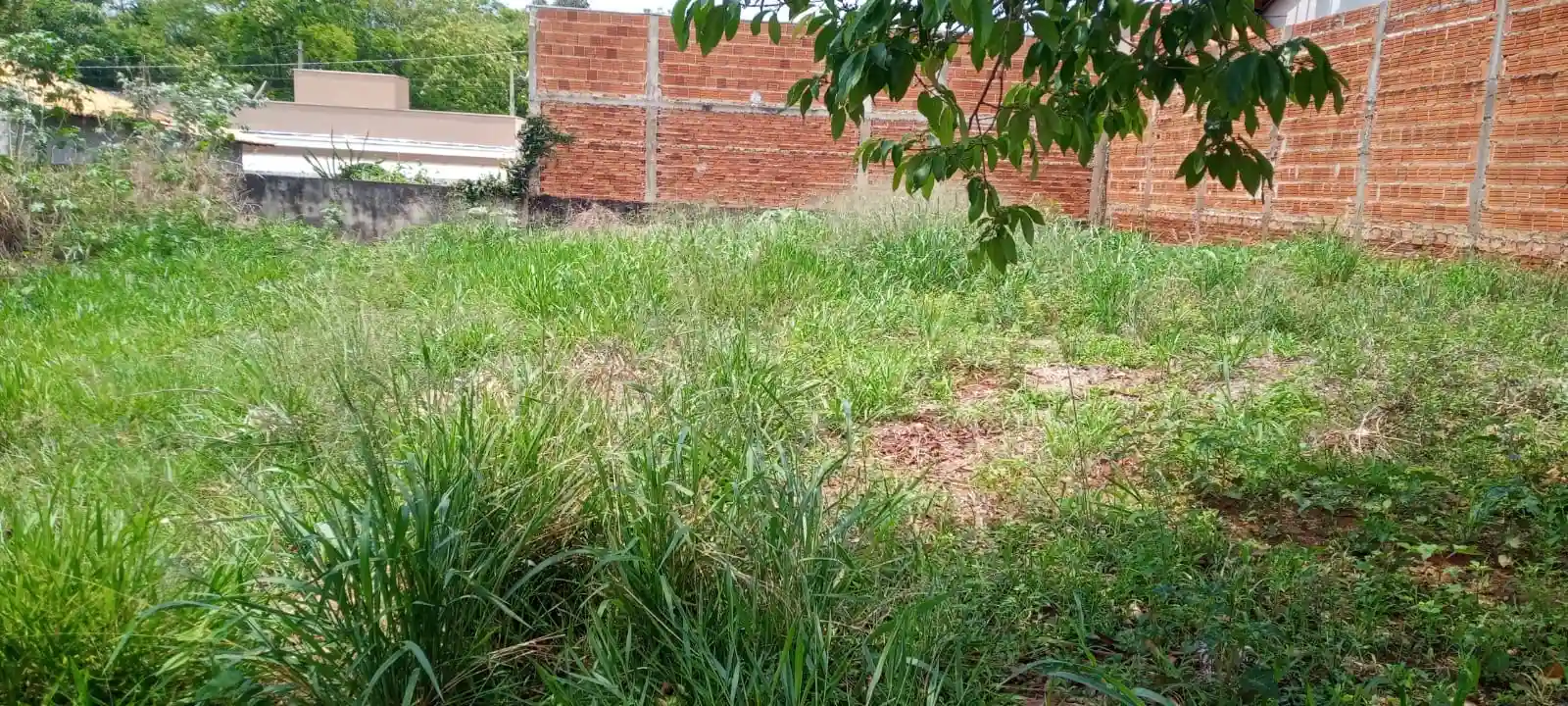 Terreno / Lote / Condomínio  à venda, 220m² — foto 3 de 3
