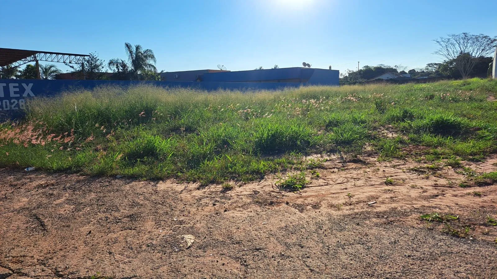 Fazenda / Sítio / Chácara à venda, 1000m² — foto 8 de 10