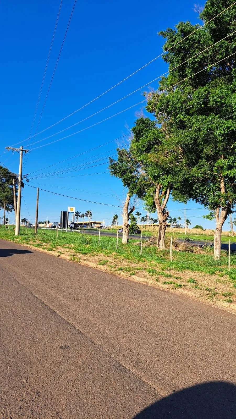 Fazenda / Sítio / Chácara à venda, 1000m² — foto 4 de 10