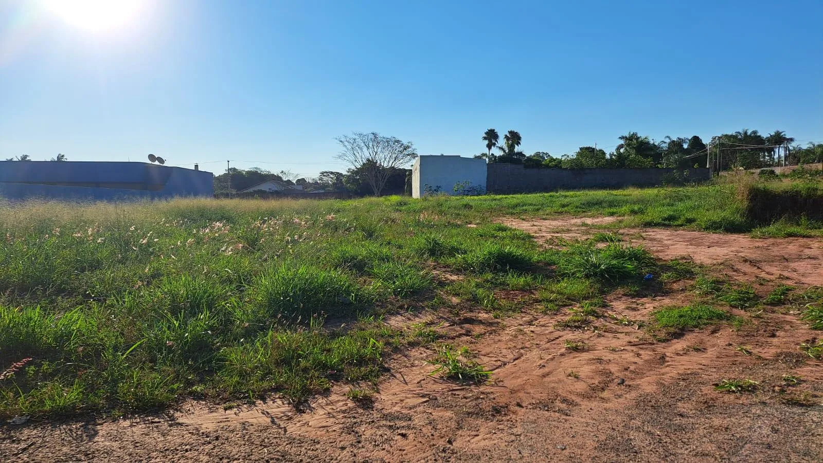Fazenda / Sítio / Chácara à venda, 1000m² — foto 6 de 10