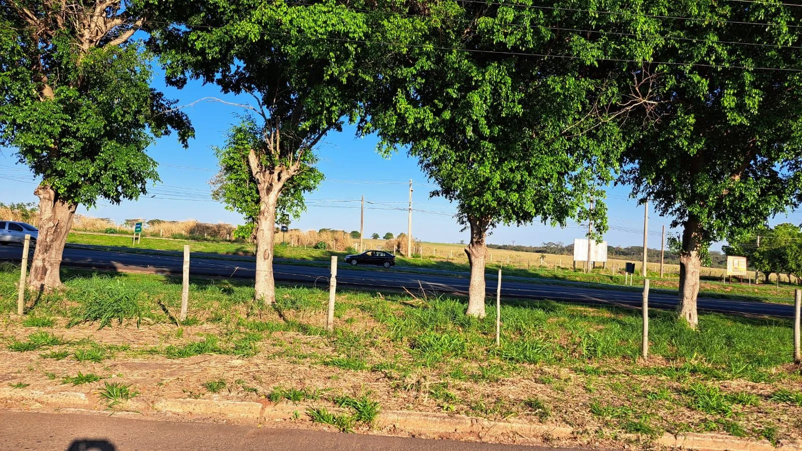 Fazenda / Sítio / Chácara à venda, 1000m² — foto 5 de 10