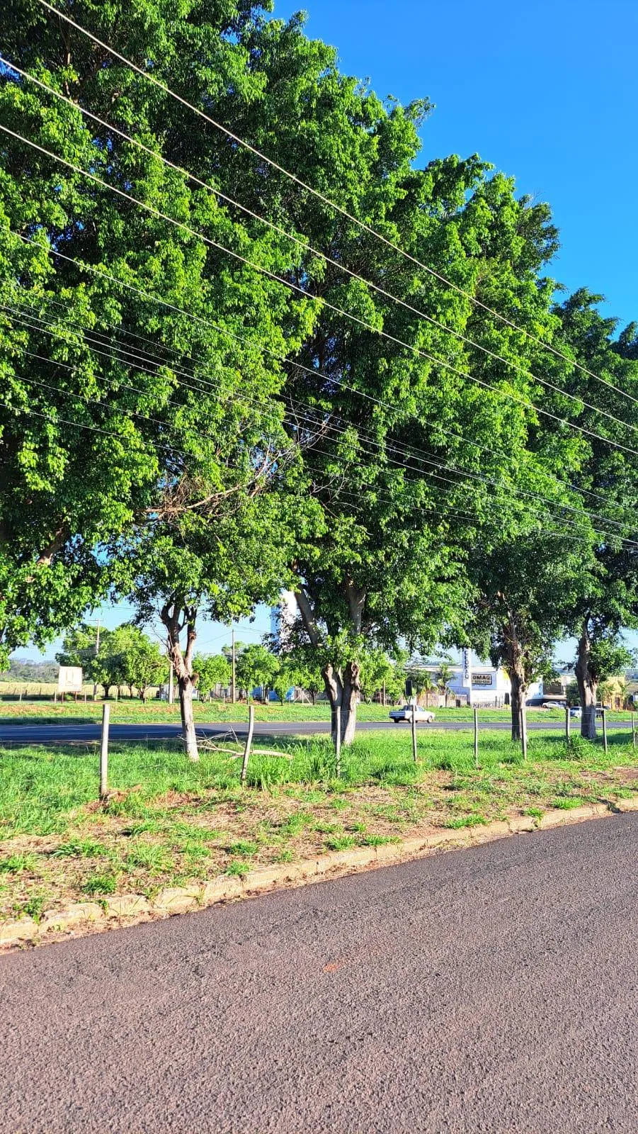 Fazenda / Sítio / Chácara à venda, 1000m² — foto 2 de 10