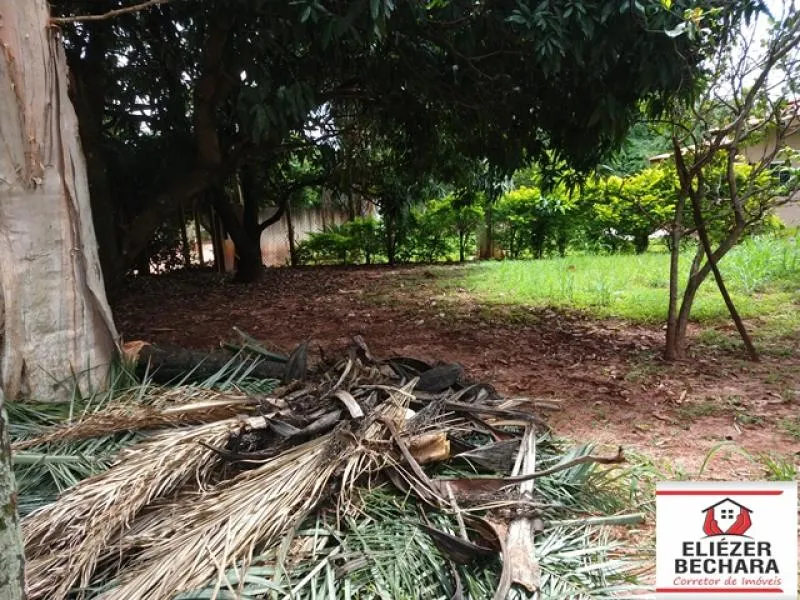 Fazenda / Sítio / Chácara à venda — foto 8 de 11