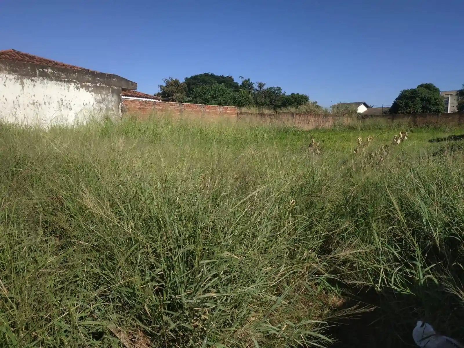 Terreno / Lote / Condomínio à venda, 880m² — foto 4 de 4