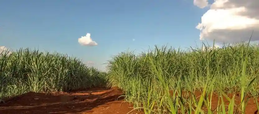 Fazenda / Sítio / Chácara  à venda, 193040m² — foto 1 de 1