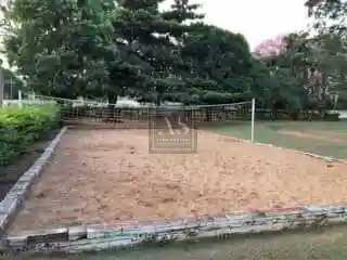 Fazenda / Sítio / Chácara com 3 quartos à venda, 5000m² — foto 13 de 27