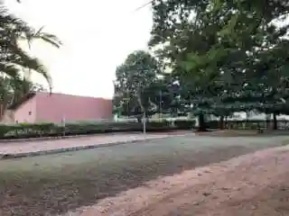 Fazenda / Sítio / Chácara com 3 quartos à venda, 5000m² — foto 14 de 27