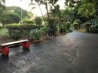 Fazenda / Sítio / Chácara com 3 quartos à venda, 5000m² — foto 5 de 27
