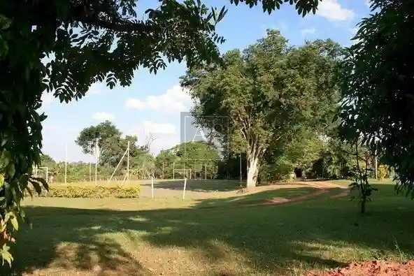 Fazenda / Sítio / Chácara com 3 quartos à venda, 5000m² — foto 16 de 27