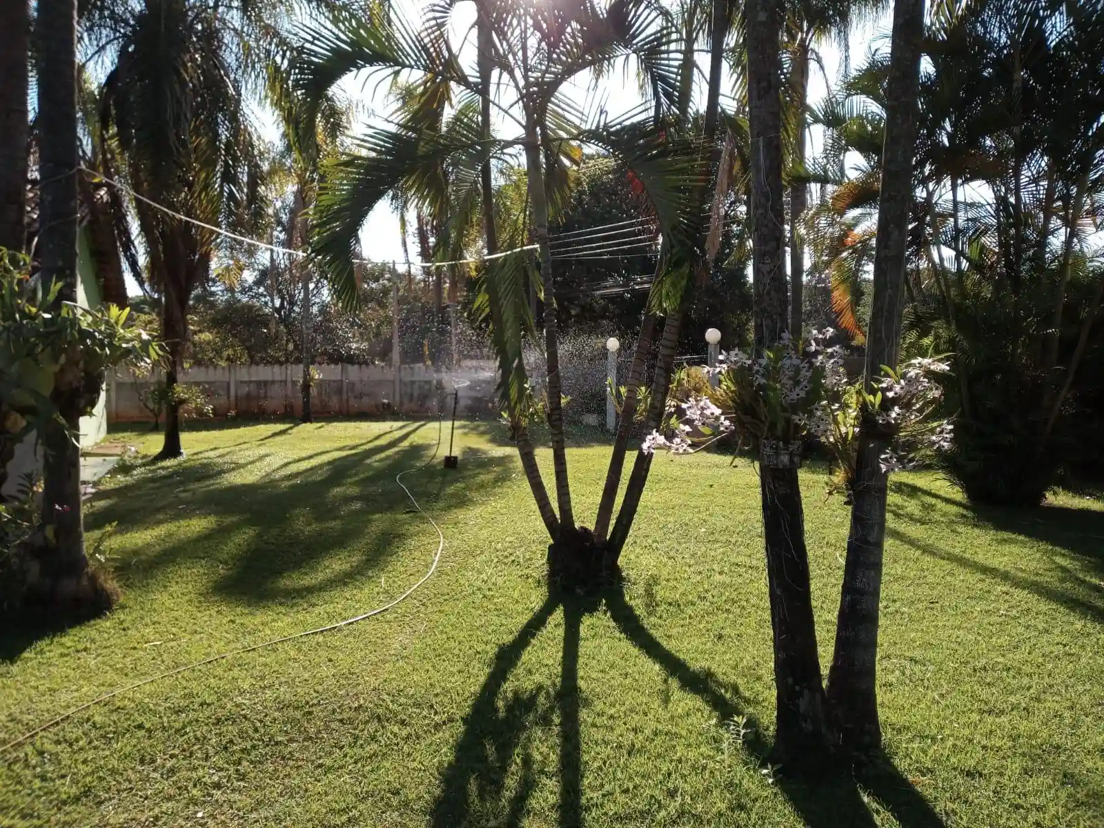Imóvel para lazer com 5 quartos para aluguel, 4000m² — foto 5 de 50