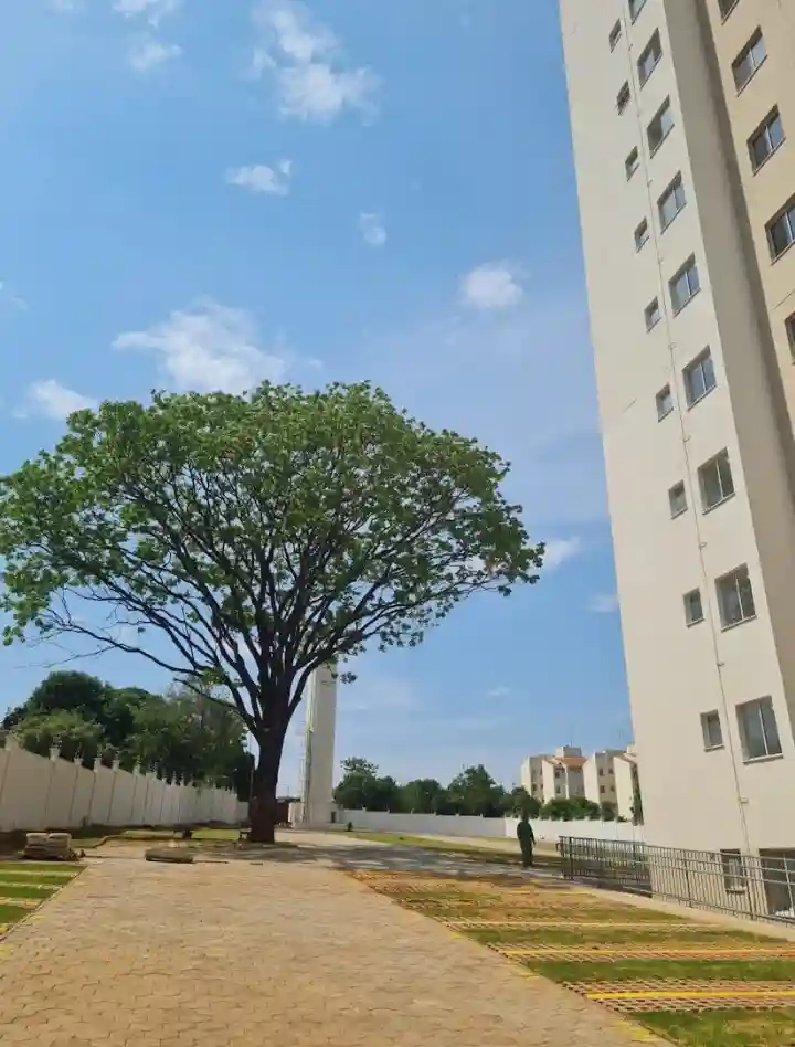 Apartamento com 2 quartos à venda, 52m² — foto 9 de 12