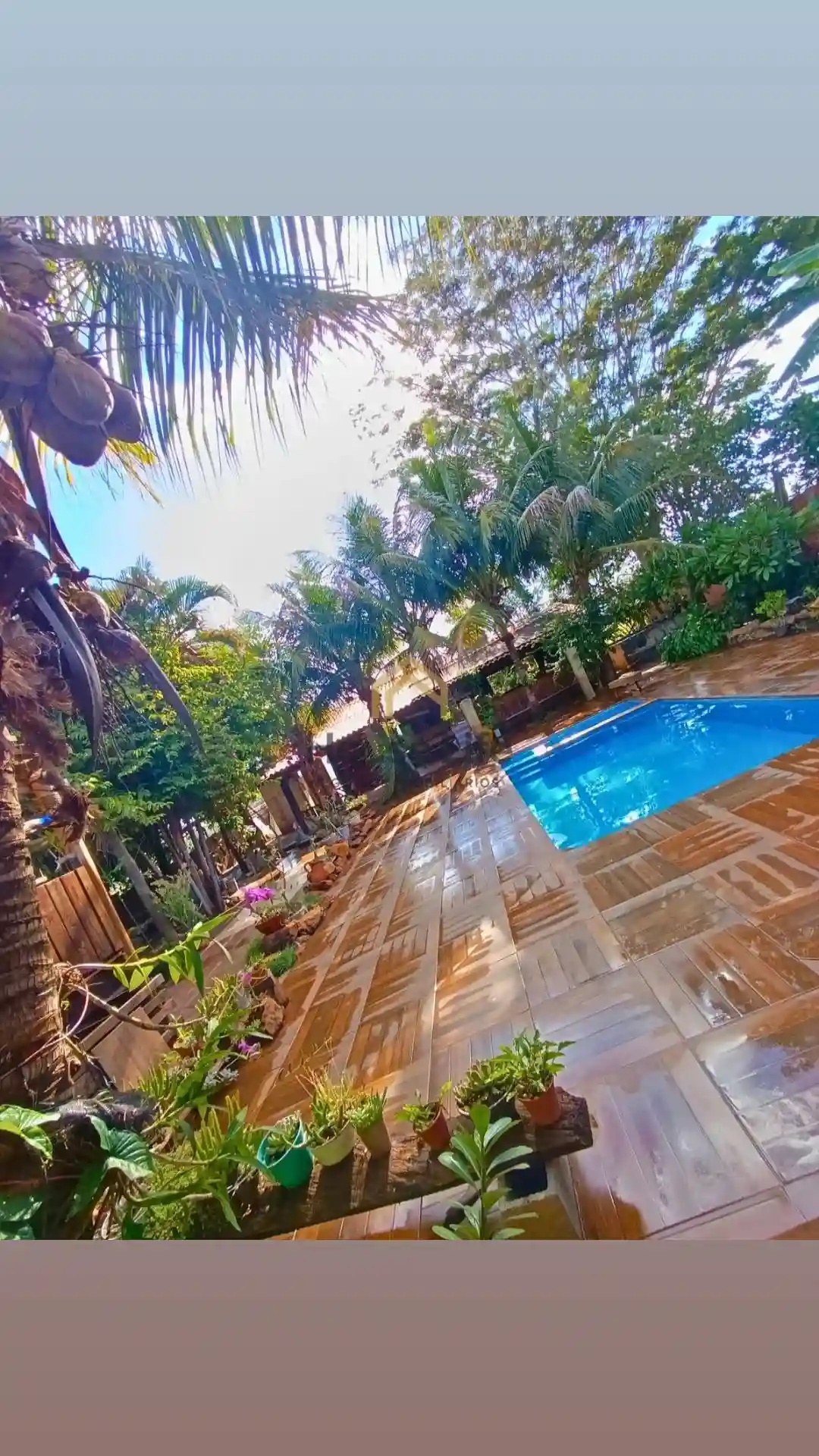 Fazenda / Sítio / Chácara com 3 quartos à venda, 1000m² — foto 4 de 7