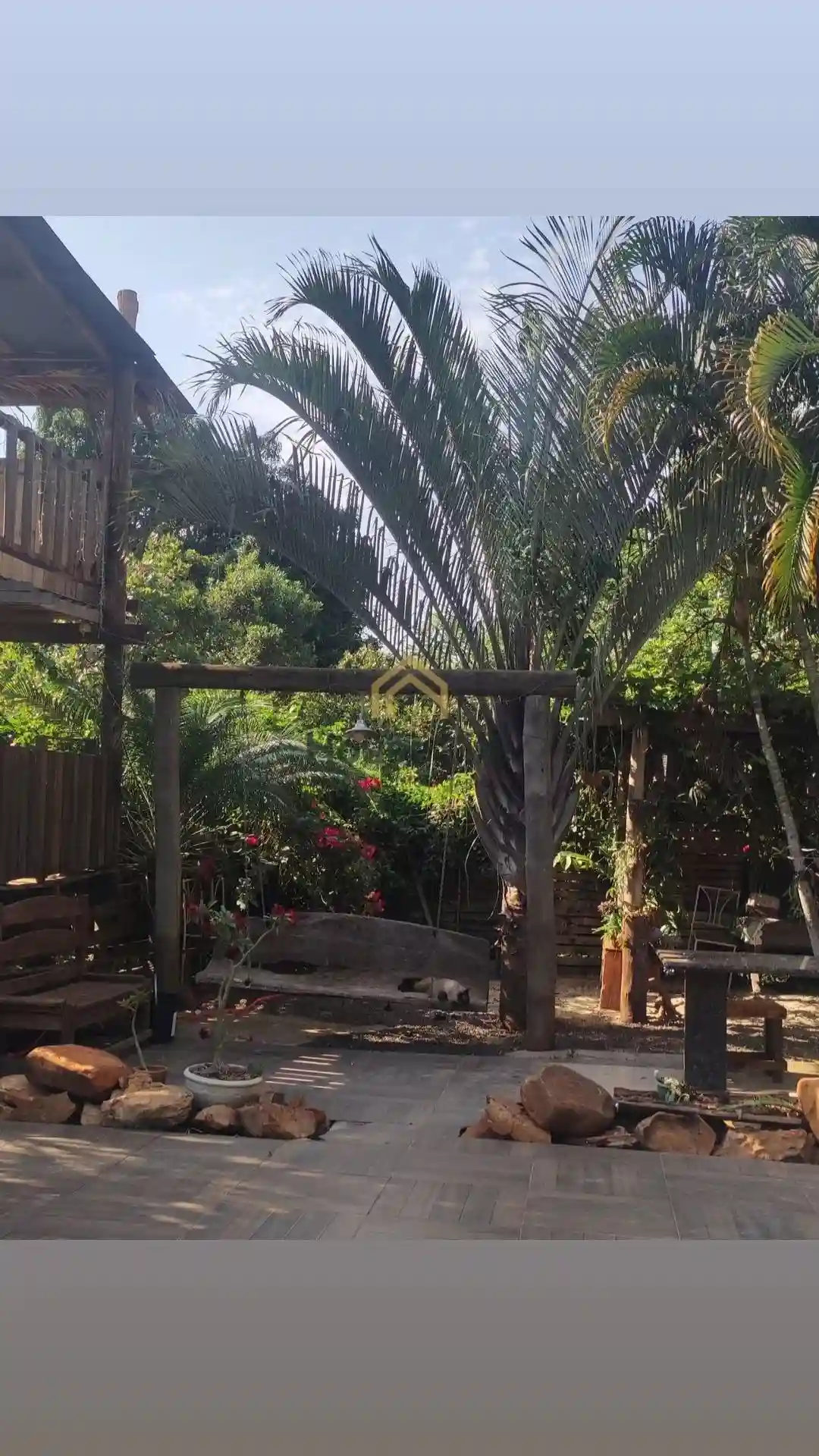 Fazenda / Sítio / Chácara com 3 quartos à venda, 1000m² — foto 7 de 7