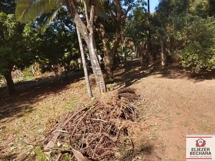 Fazenda / Sítio / Chácara com 4 quartos à venda, 4082m² — foto 2 de 46