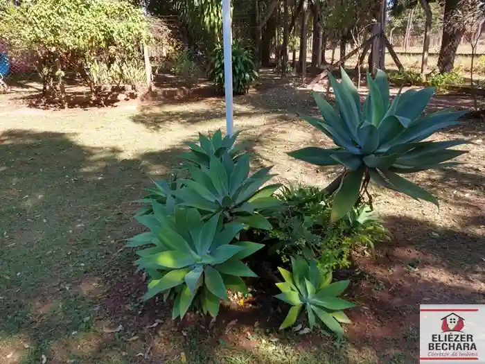 Fazenda / Sítio / Chácara com 4 quartos à venda, 4082m² — foto 12 de 46