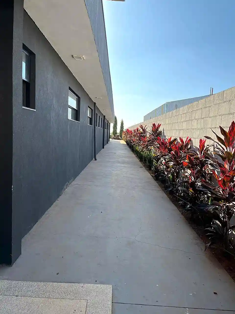 Loja / Salão / Ponto Comercial  para aluguel, 1500m² — foto 43 de 43