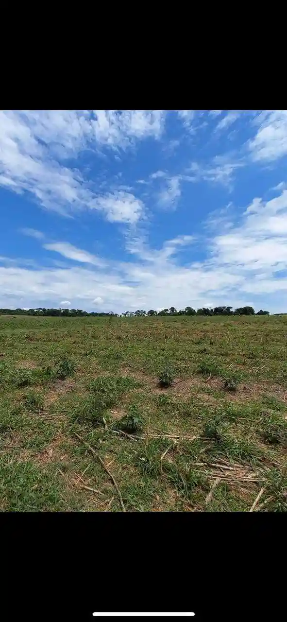 Fazenda / Sítio / Chácara  à venda, 108900m² — foto 6 de 6