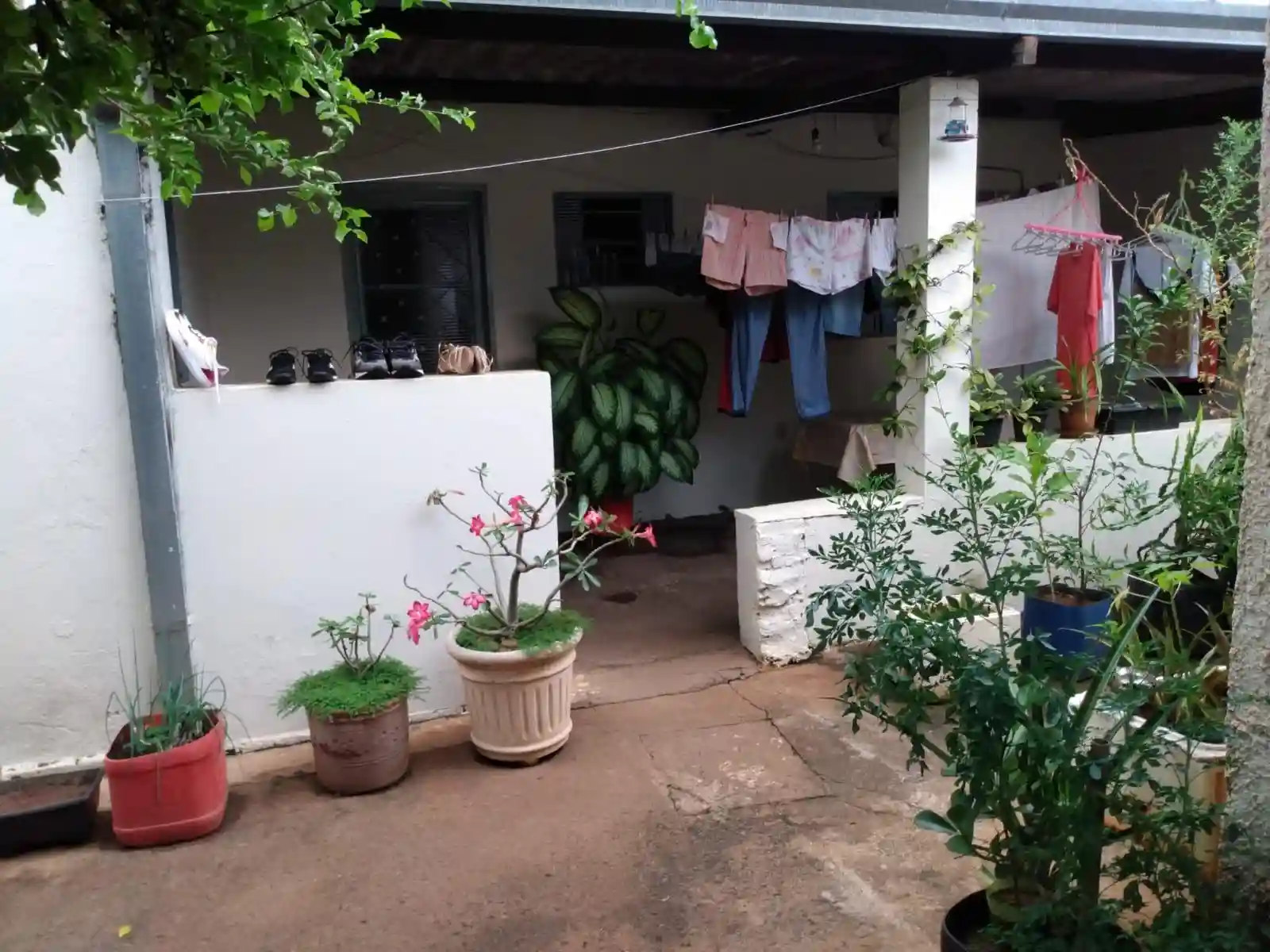 Casa com 3 quartos à venda, 244m² — foto 7 de 7