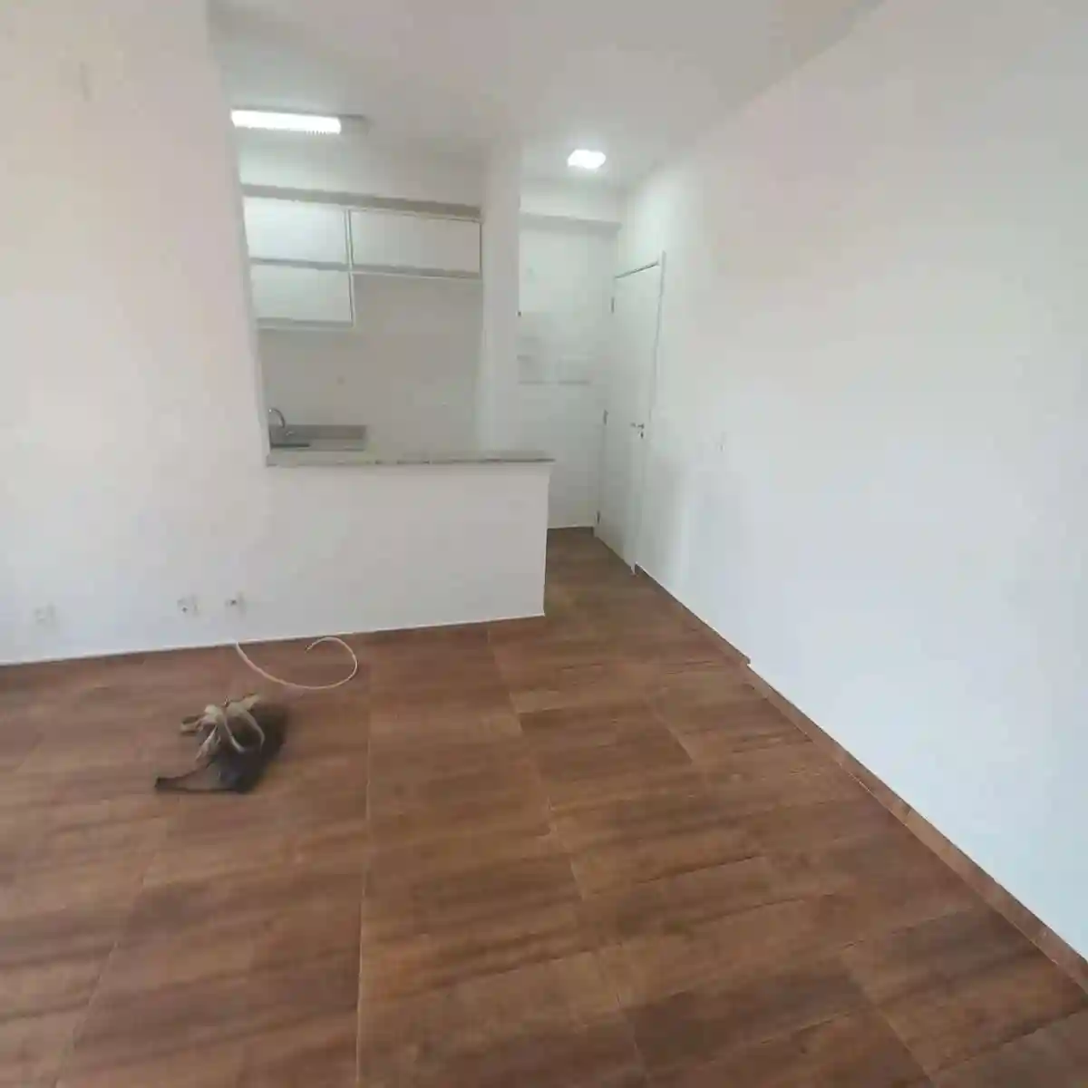 Apartamento com 2 quartos para aluguel, 60m² — foto 3 de 12