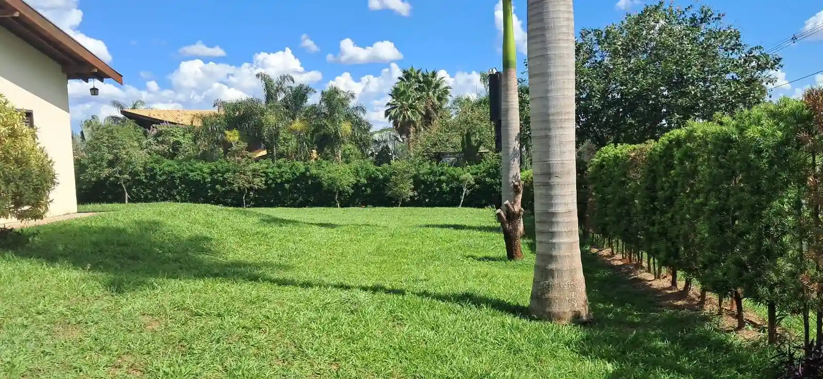 Fazenda / Sítio / Chácara com 3 quartos à venda, 5000m² — foto 12 de 33