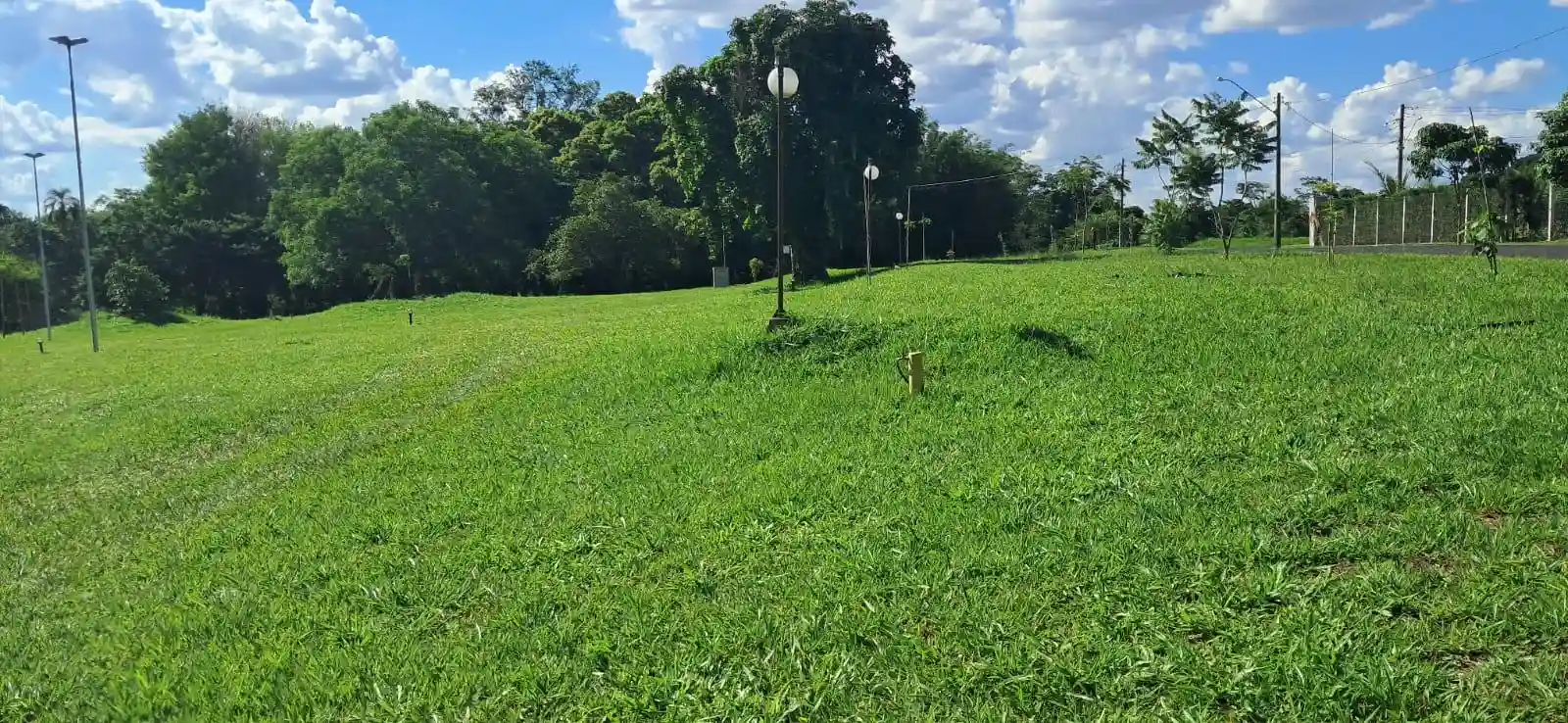 Fazenda / Sítio / Chácara com 3 quartos à venda, 5000m² — foto 3 de 33