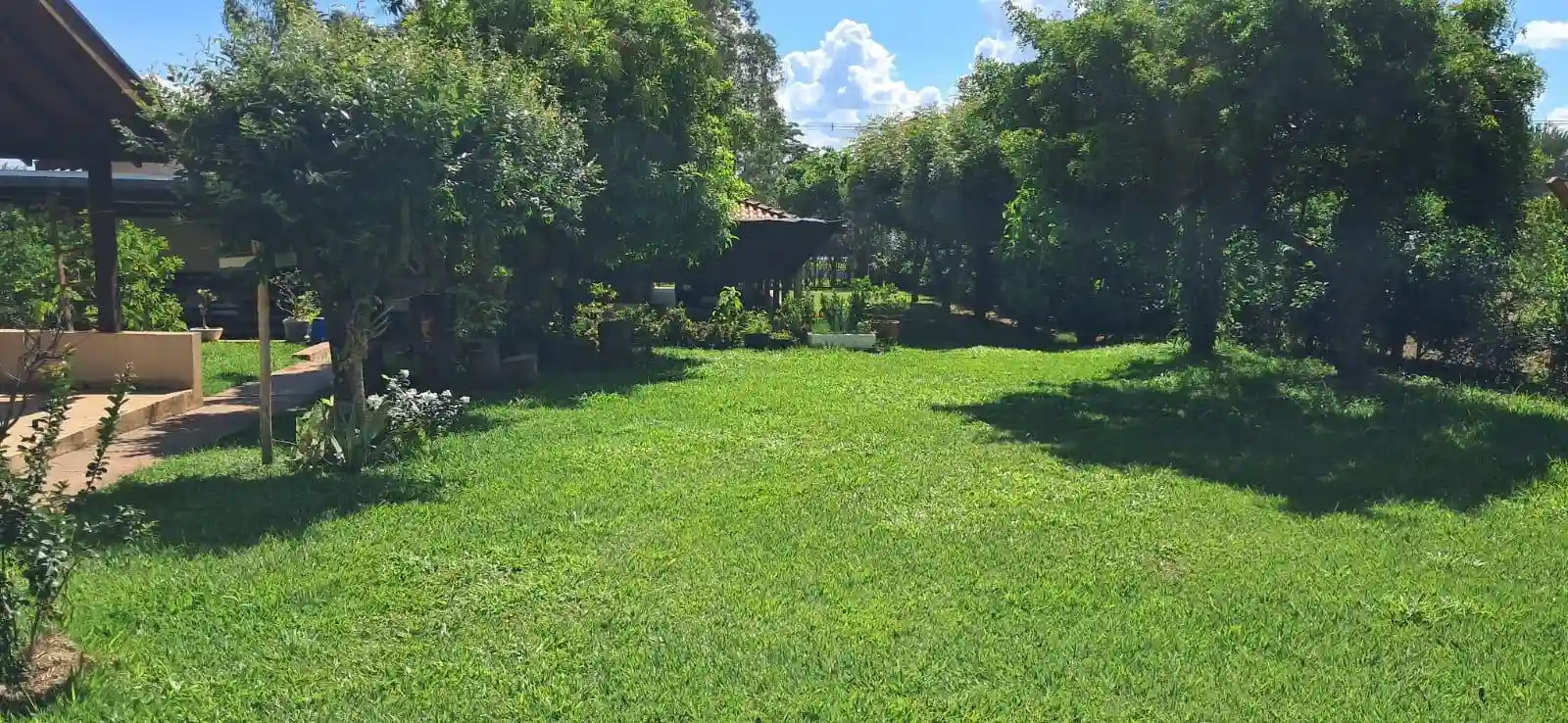 Fazenda / Sítio / Chácara com 3 quartos à venda, 5000m² — foto 23 de 33