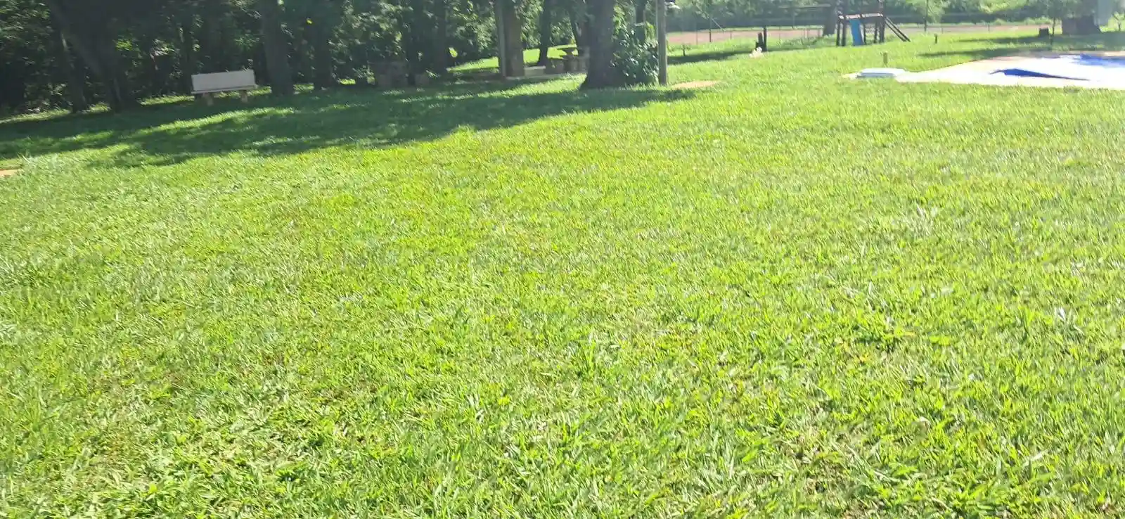 Fazenda / Sítio / Chácara com 3 quartos à venda, 5000m² — foto 4 de 33