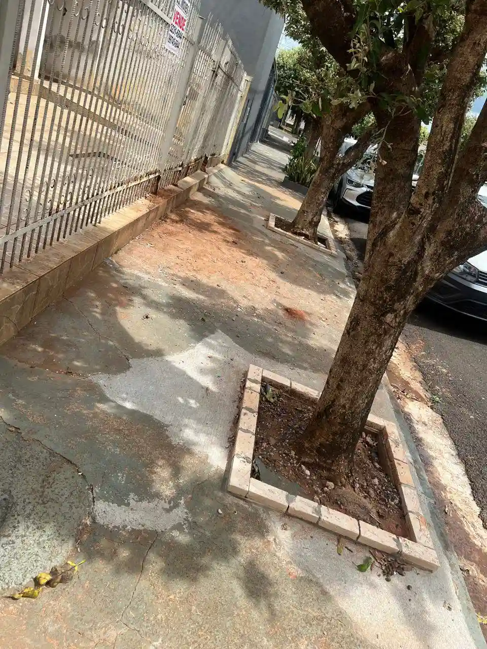 Casa com 3 quartos à venda, 253m² — foto 5 de 5