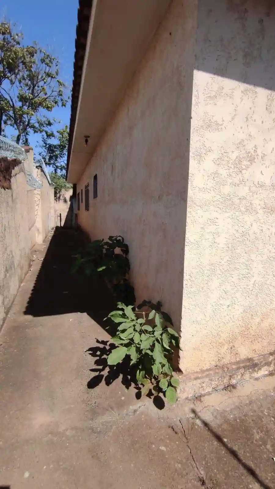Casa com 3 quartos à venda, 176m² — foto 21 de 25