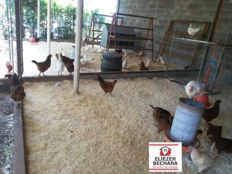 Fazenda / Sítio / Chácara à venda — foto 11 de 13