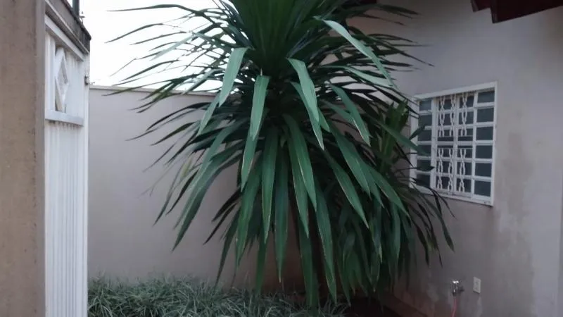 Casa à venda — foto 3 de 3