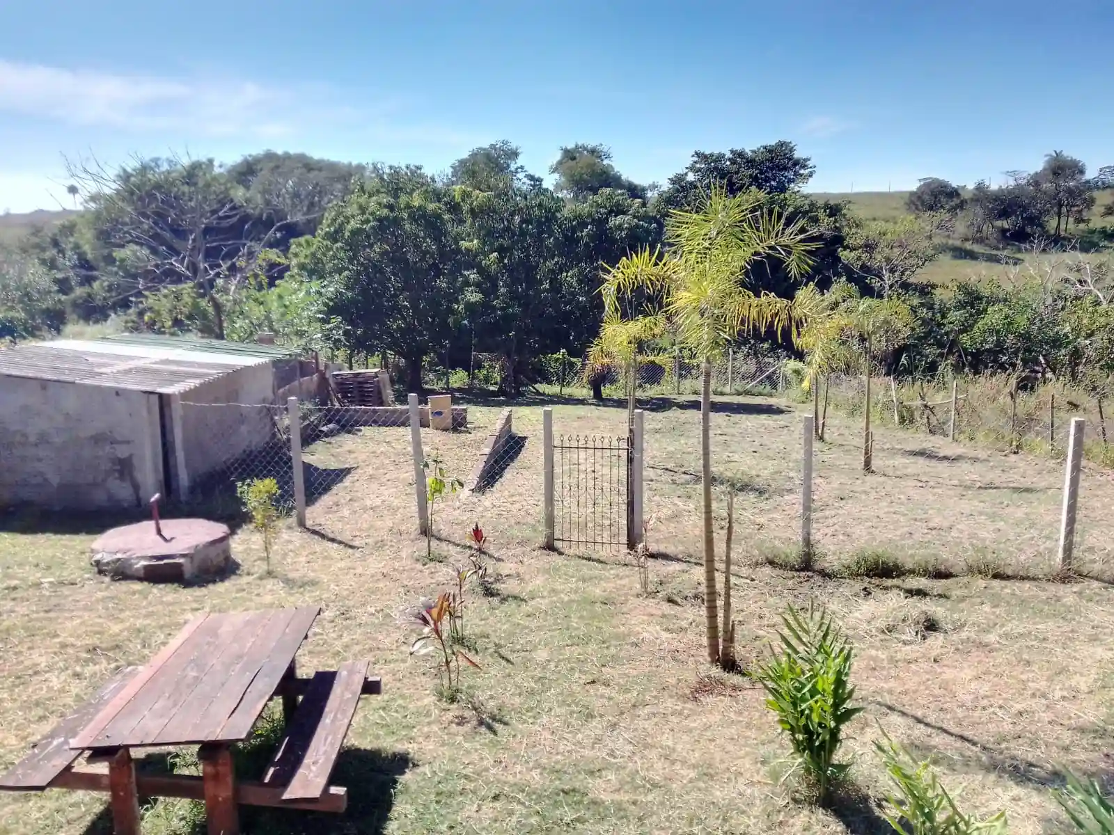 Fazenda / Sítio / Chácara à venda — foto 8 de 9