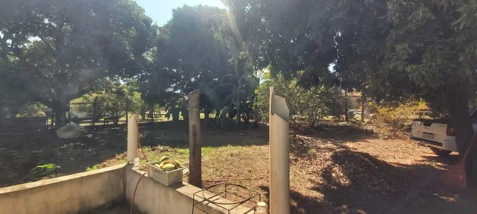 Fazenda / Sítio / Chácara com 2 quartos à venda, 1000m² — foto 5 de 10