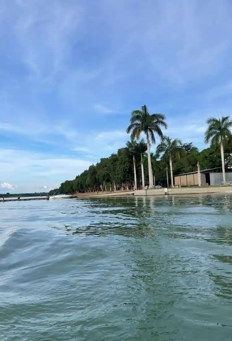 Imóvel para lazer com 4 quartos à venda, 600m² — foto 2 de 16
