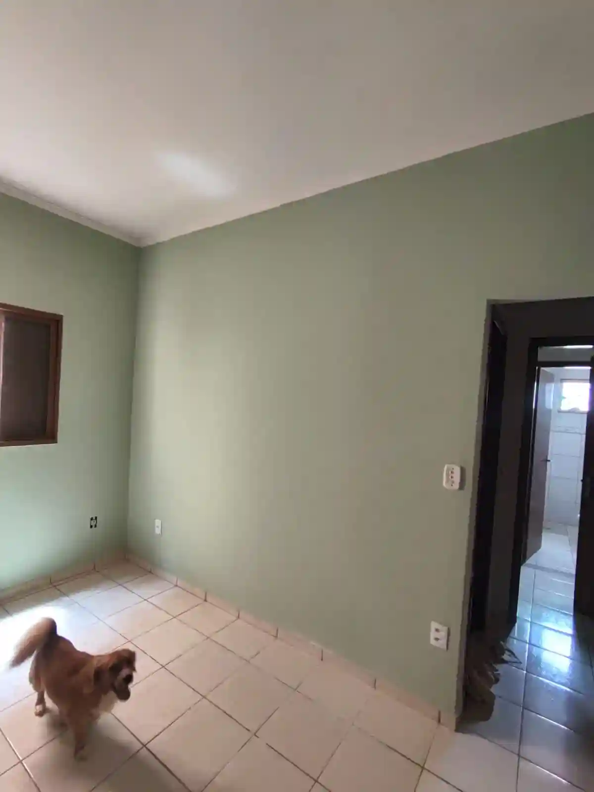 Casa com 2 quartos à venda, 200m² — foto 7 de 13