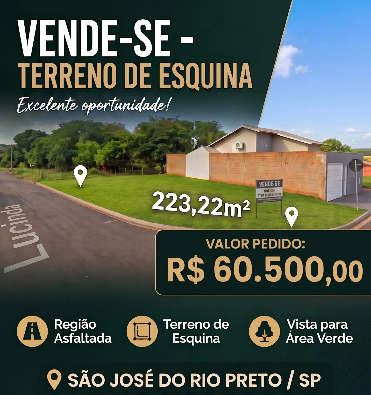 Terreno / Lote / Condomínio à venda, 223m² — foto 11 de 12